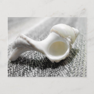 Carte Postale Photo de la mer de Black & White Beach