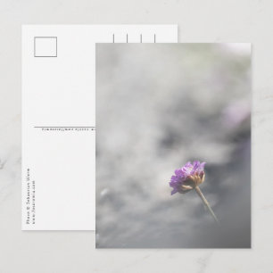 Carte Postale Photo de la nature à fleurs roses