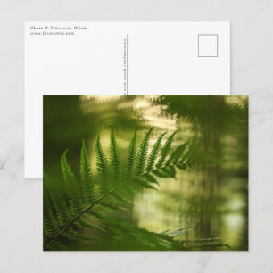 Carte Postale Photo de la nature florale de la Ferme verte