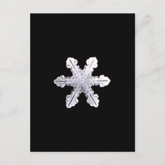 Carte Postale Photo de la véritable enneigement