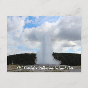Carte Postale Photo de la Vielle Foi à Yellowstone