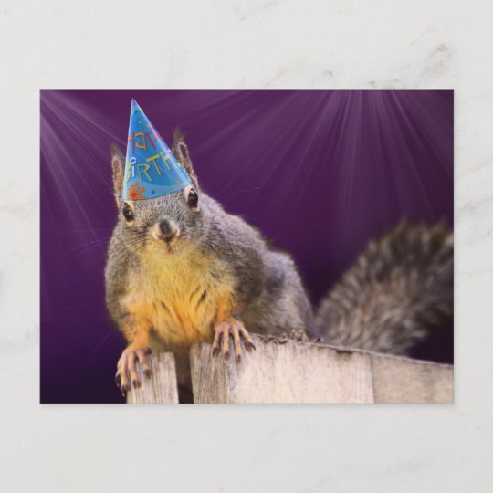 Carte Postale Photo De L Ecureuil D Anniversaire Zazzle Fr