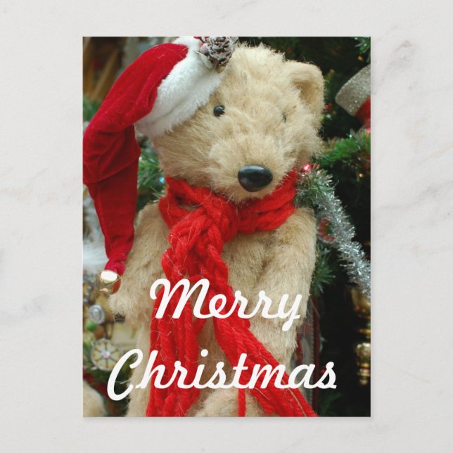Carte postale photo de l'ours de Noël mignon (Devant)