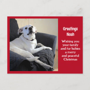 Carte Postale Photo de mignonne Talking Dog Red Christmas