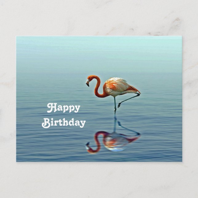 Carte Postale Photo de naissance de faune avec reflet rose de fl (Devant)