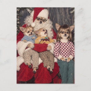Carte Postale Photo de Noël gênant de Chihuahua avec le Père Noë
