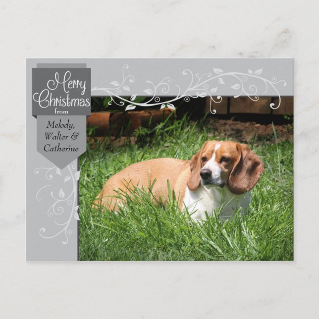 Carte postale photo de Noël Silver Tab et Flourish (Devant)