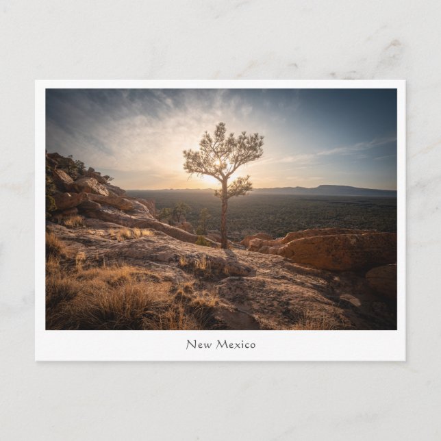 Carte Postale Photo de paysage du Nouveau-Mexique (Devant)