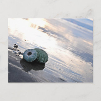 Carte Postale Photo de plage