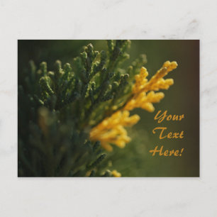 Carte postale photo de plante jaune chaud vert ric