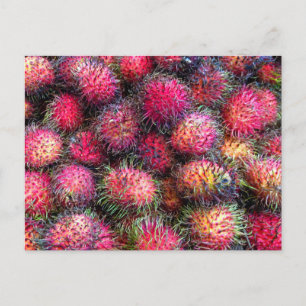 Carte postale photo de Rambutans