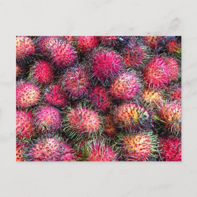 Carte postale photo de Rambutans (Devant)