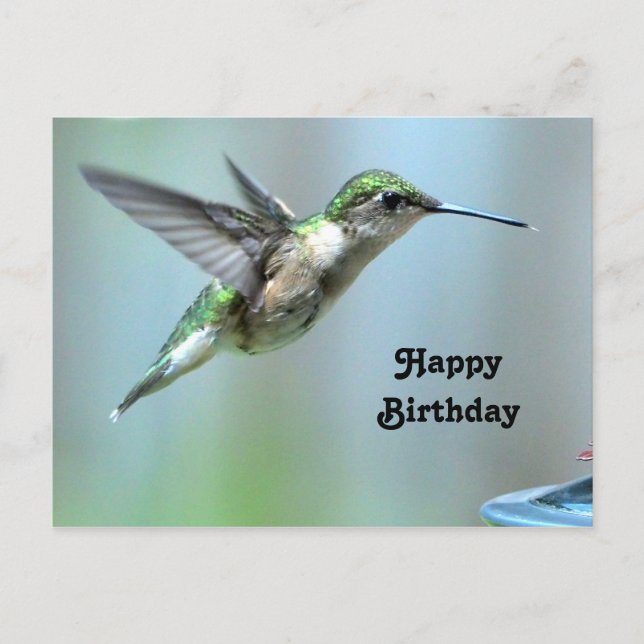 Carte Postale Photo de vol vert de colibri Anniversaire faune (Devant)