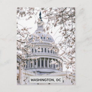 Carte Postale Photo de voyage de Washington DC Cherry Blossoms