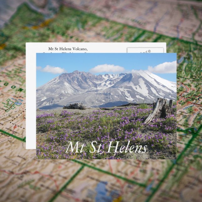 Carte Postale Photo de voyage du Mont St Helens Fleurs sauvages (In Situ Map)