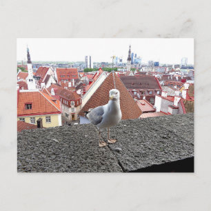 Carte Postale Photo de voyage. Estonie, Tallinn