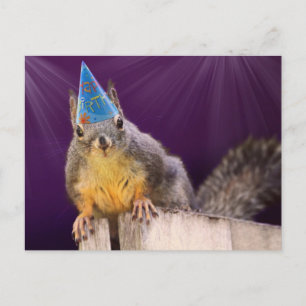 Carte Postale Photo d'écureuil d'anniversaire