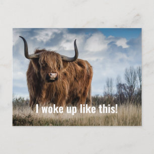 Carte Postale Photo drôle de vache des Highlands Citation Je me