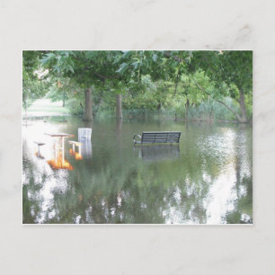 Carte Postale Photo du banc trempé