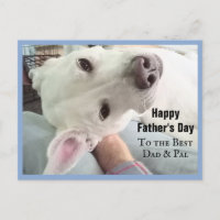 Photo du chien mignon Best Papa Pal Ever Blue Deni