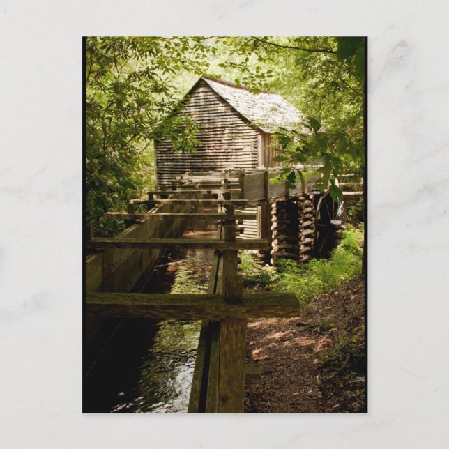 Carte postale photo du moulin et de la roue à aube (Devant)