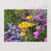 Photo d'un bouquet de belles fleurs colorées