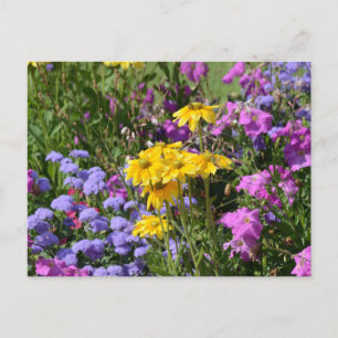 Carte Postale Photo d'un bouquet de belles fleurs colorées