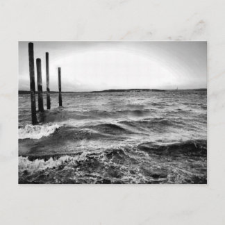 Carte Postale photo en noir et blanc