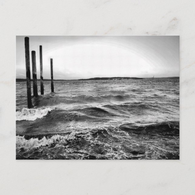 Carte Postale photo en noir et blanc (Devant)