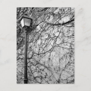 Carte Postale Photo en noir et blanc de Paris Street Lamp