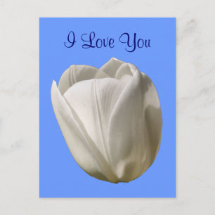 Carte Postale Photo Fleur Tulipe Blanche I Love Yo