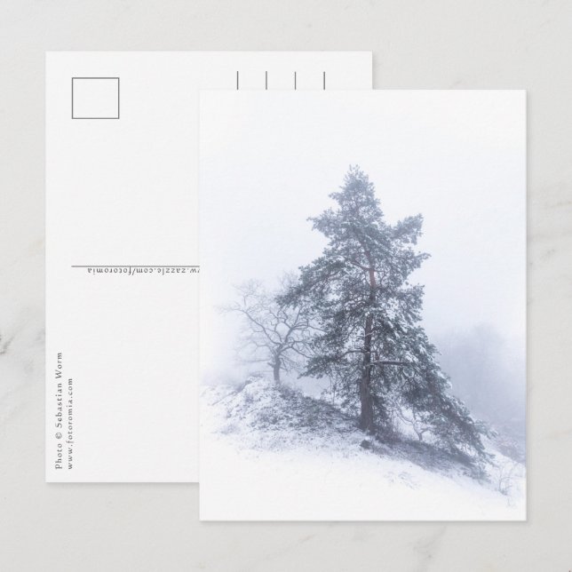 Carte postale photo hiver de l'arbre couvert de ne (Devant / Derrière)