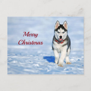 Carte Postale Photo Husky Puppy Neige Noël