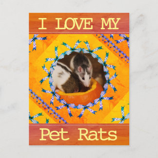Carte Postale Photo I Love my Pet Rat de Custom