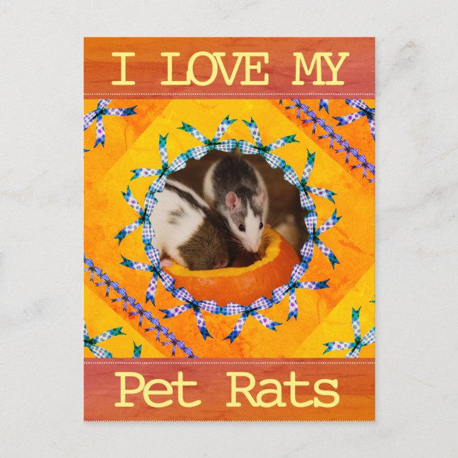 Carte Postale Photo I Love my Pet Rat de Custom (Devant)