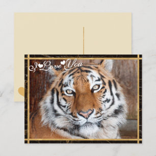 Carte Postale Photo I Love You Tiger