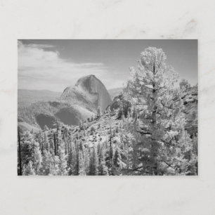 Carte Postale Photo infrarouge du côté est du Yosemite National