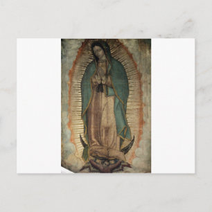 Carte Postale Photo originale de Notre-Dame de Guadalupe