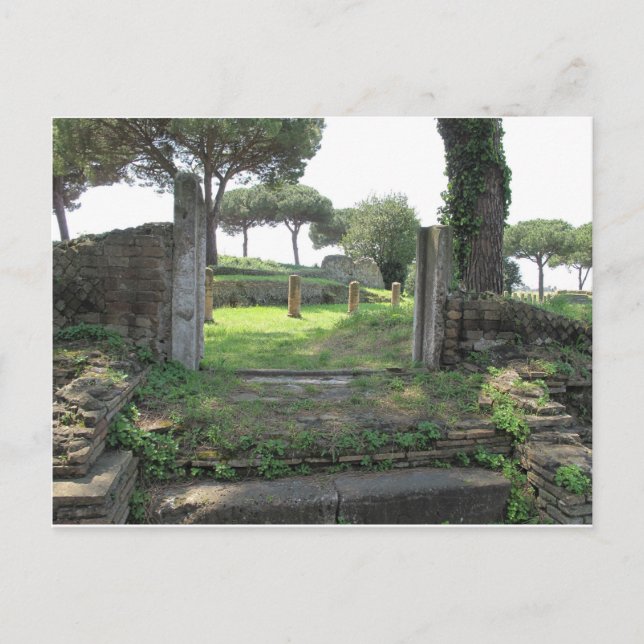 Carte Postale Photo Ostia Antica (Devant)