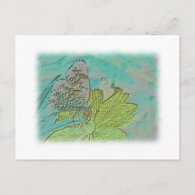 Carte Postale Photo Papillon (Devant)