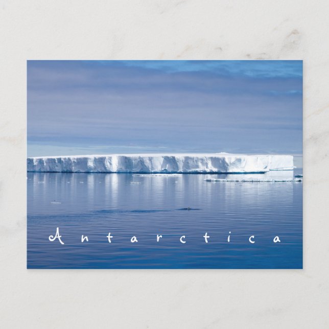 Carte Postale Photo paysage de l'iceberg Antarctique avec texte  (Devant)