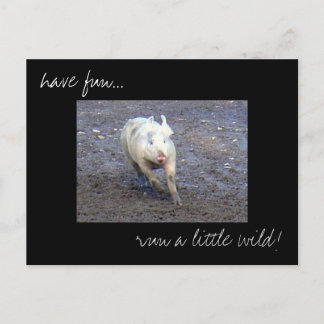 Carte postale photo 'Pig Run Wild'