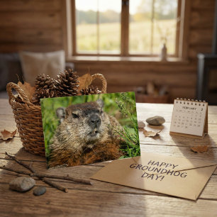 Carte Postale Photo réaliste de gros plan de marmotte dans la na