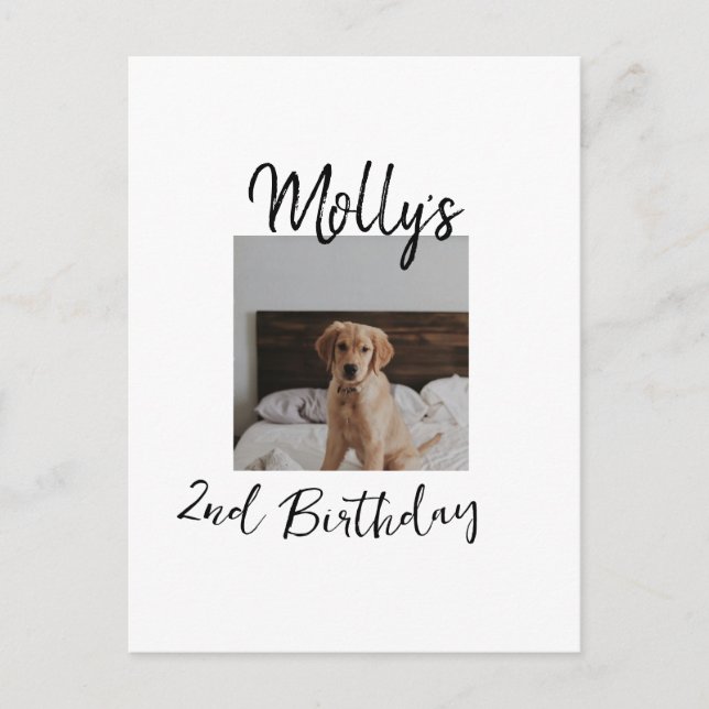 Carte Postale Photo simple moderne d'anniversaire d'animal de co (Devant)