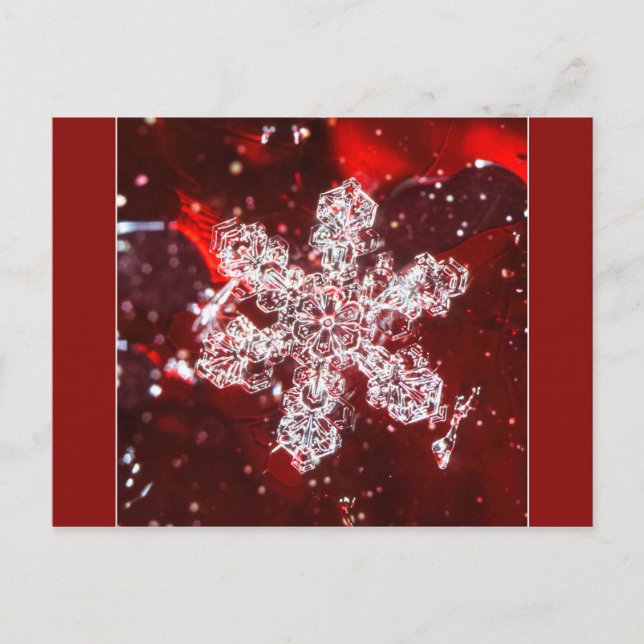 Carte postale photo Snowflake (Devant)