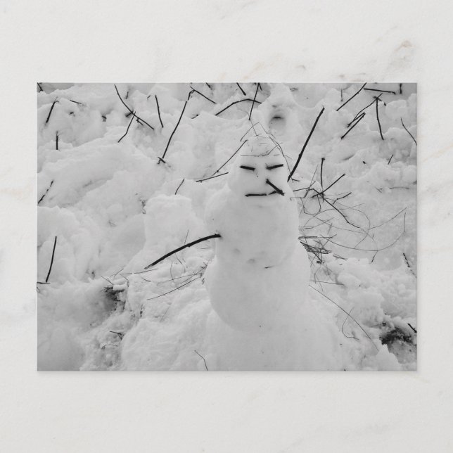 Carte postale Photo Snowman (Devant)
