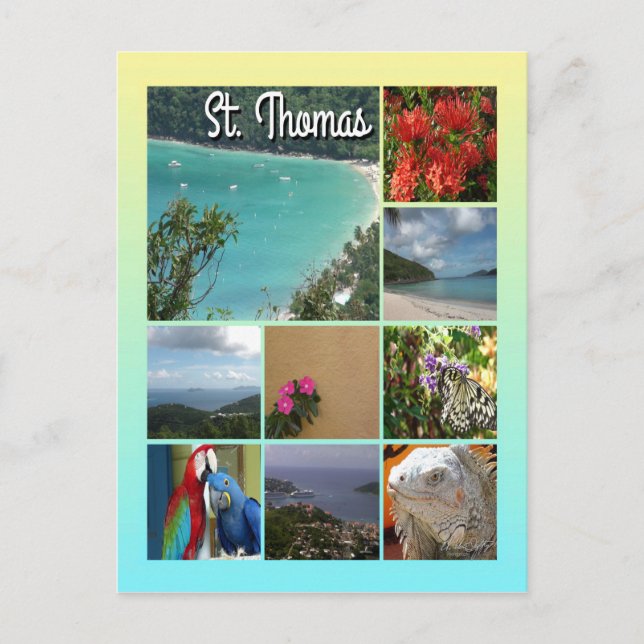 Carte Postale Photo St. Thomas 6115 (Devant)