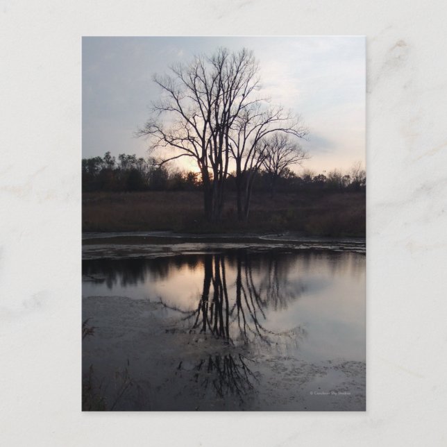 Carte postale photo Sunset Reflections (Devant)