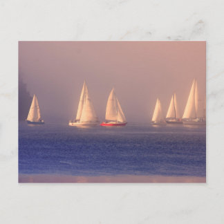 Carte Postale Photo Sunset Sailboats
