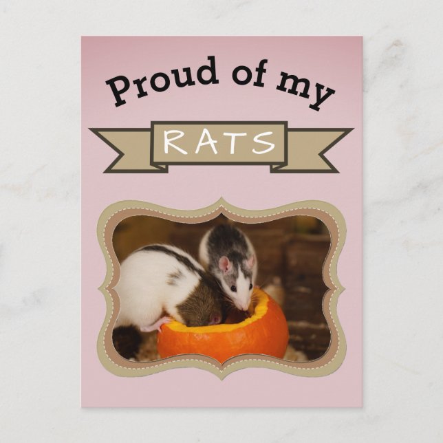 Carte Postale Photo sur mesure de Rat pour animaux de compagnie (Devant)